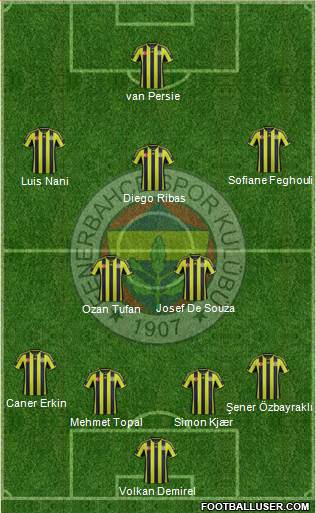 Fenerbahçe SK Formation 2015