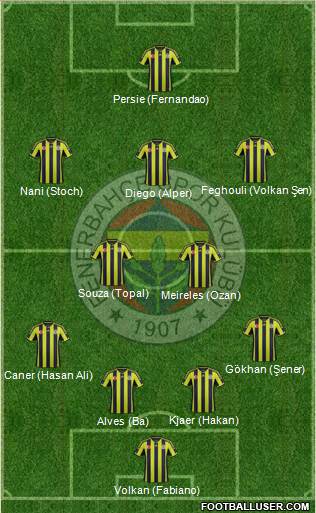 Fenerbahçe SK Formation 2015