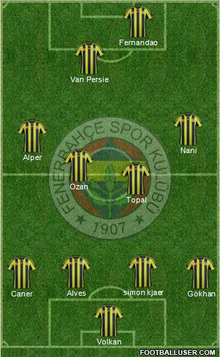 Fenerbahçe SK Formation 2015