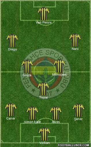 Fenerbahçe SK Formation 2015