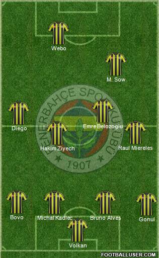 Fenerbahçe SK Formation 2015