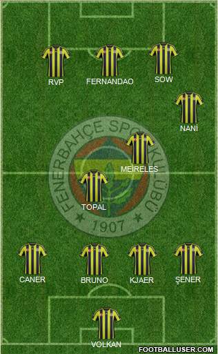 Fenerbahçe SK Formation 2015