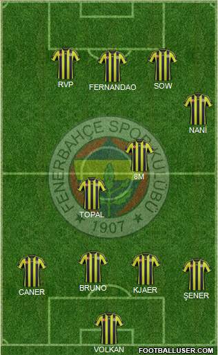 Fenerbahçe SK Formation 2015