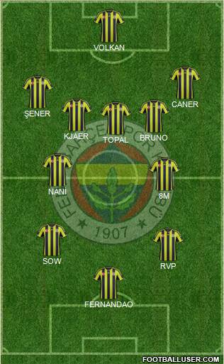 Fenerbahçe SK Formation 2015