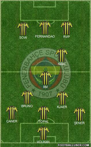 Fenerbahçe SK Formation 2015