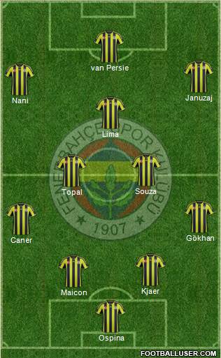 Fenerbahçe SK Formation 2015