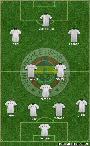 Fenerbahçe SK Formation 2015