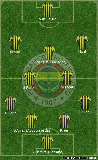 Fenerbahçe SK Formation 2015