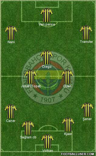Fenerbahçe SK Formation 2015