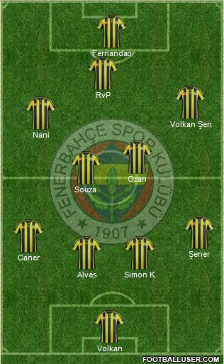 Fenerbahçe SK Formation 2015