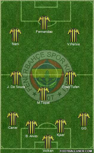 Fenerbahçe SK Formation 2015