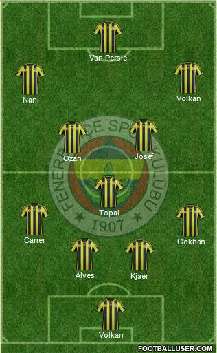 Fenerbahçe SK Formation 2015