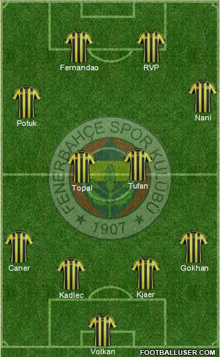 Fenerbahçe SK Formation 2015