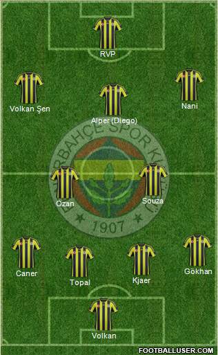 Fenerbahçe SK Formation 2015