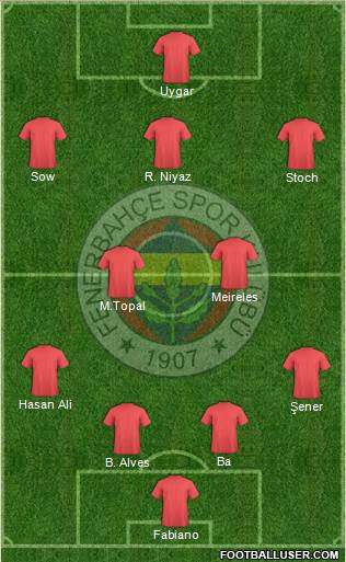 Fenerbahçe SK Formation 2015