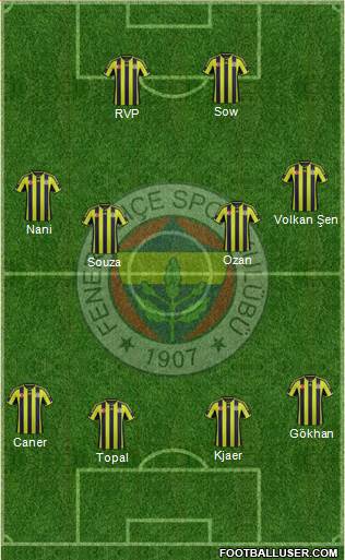Fenerbahçe SK Formation 2015