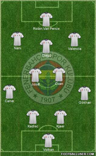 Fenerbahçe SK Formation 2015