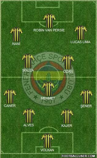 Fenerbahçe SK Formation 2015