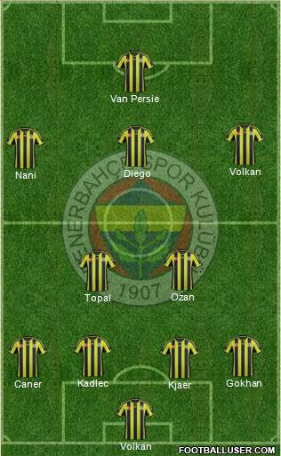 Fenerbahçe SK Formation 2015
