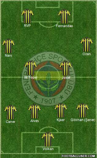 Fenerbahçe SK Formation 2015