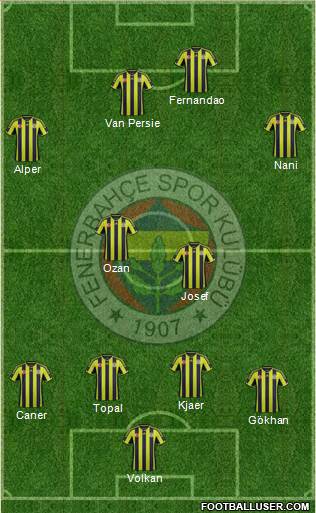 Fenerbahçe SK Formation 2015