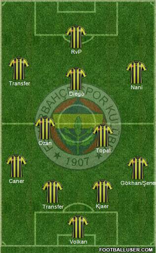 Fenerbahçe SK Formation 2015
