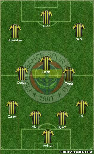 Fenerbahçe SK Formation 2015