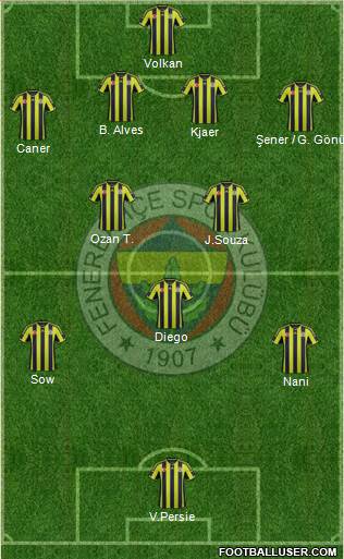 Fenerbahçe SK Formation 2015