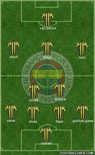 Fenerbahçe SK Formation 2015
