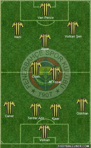 Fenerbahçe SK Formation 2015
