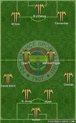 Fenerbahçe SK Formation 2015