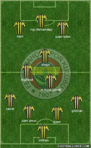 Fenerbahçe SK Formation 2015