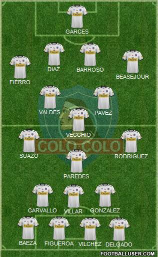 CSD Colo Colo Formation 2015