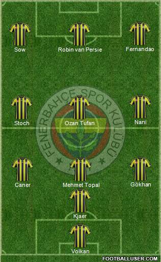 Fenerbahçe SK Formation 2015