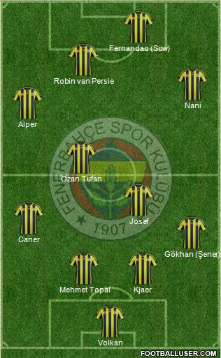 Fenerbahçe SK Formation 2015