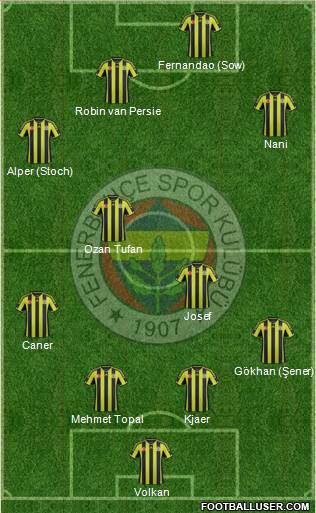 Fenerbahçe SK Formation 2015