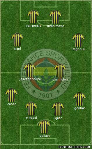 Fenerbahçe SK Formation 2015