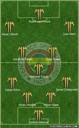 Fenerbahçe SK Formation 2015