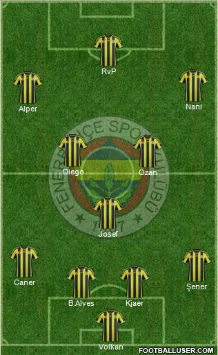 Fenerbahçe SK Formation 2015