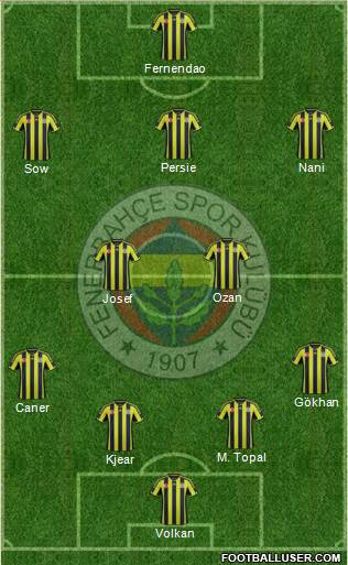 Fenerbahçe SK Formation 2015