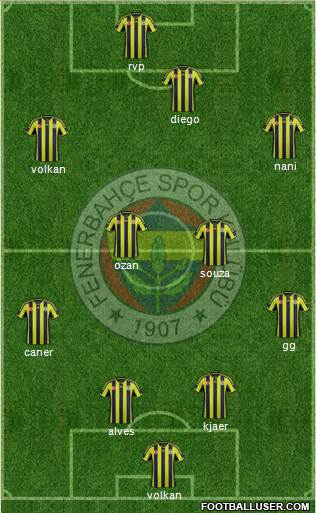Fenerbahçe SK Formation 2015