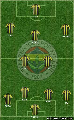 Fenerbahçe SK Formation 2015