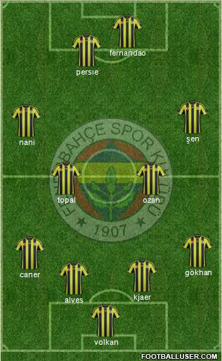 Fenerbahçe SK Formation 2015