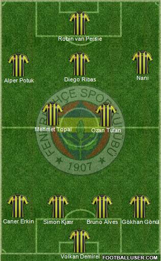 Fenerbahçe SK Formation 2015