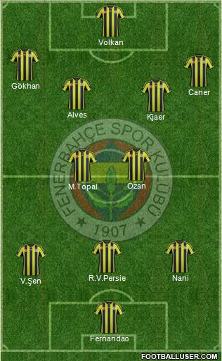 Fenerbahçe SK Formation 2015