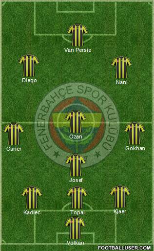 Fenerbahçe SK Formation 2015
