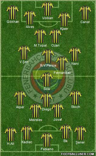 Fenerbahçe SK Formation 2015