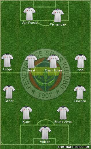 Fenerbahçe SK Formation 2015