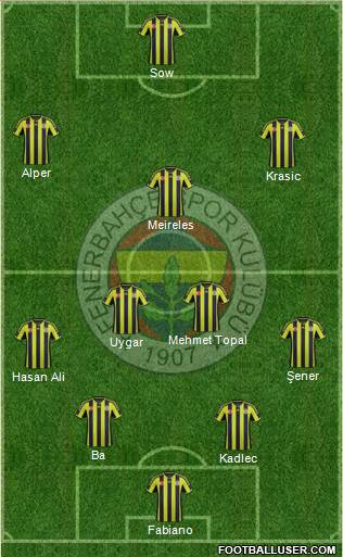 Fenerbahçe SK Formation 2015