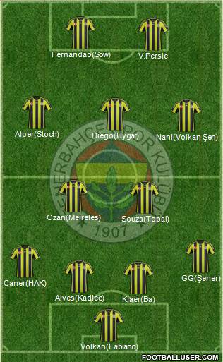 Fenerbahçe SK Formation 2015